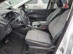 Lot #3023411260 2018 FORD ESCAPE SE