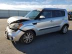 KIA SOUL + photo