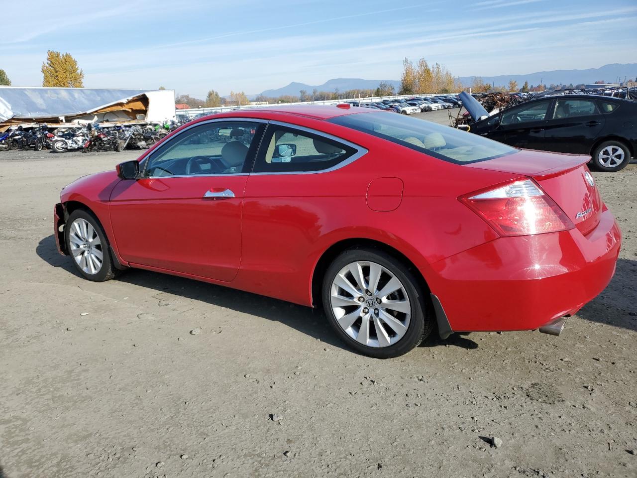 Lot #2972388451 2009 HONDA ACCORD EXL