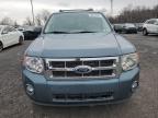 FORD ESCAPE XLT photo