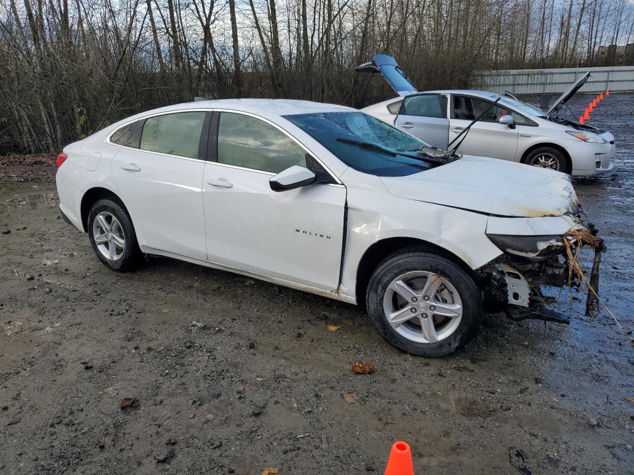 Lot #2991022215 2020 CHEVROLET MALIBU LS