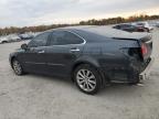 Lot #2986239182 2007 LEXUS ES 350