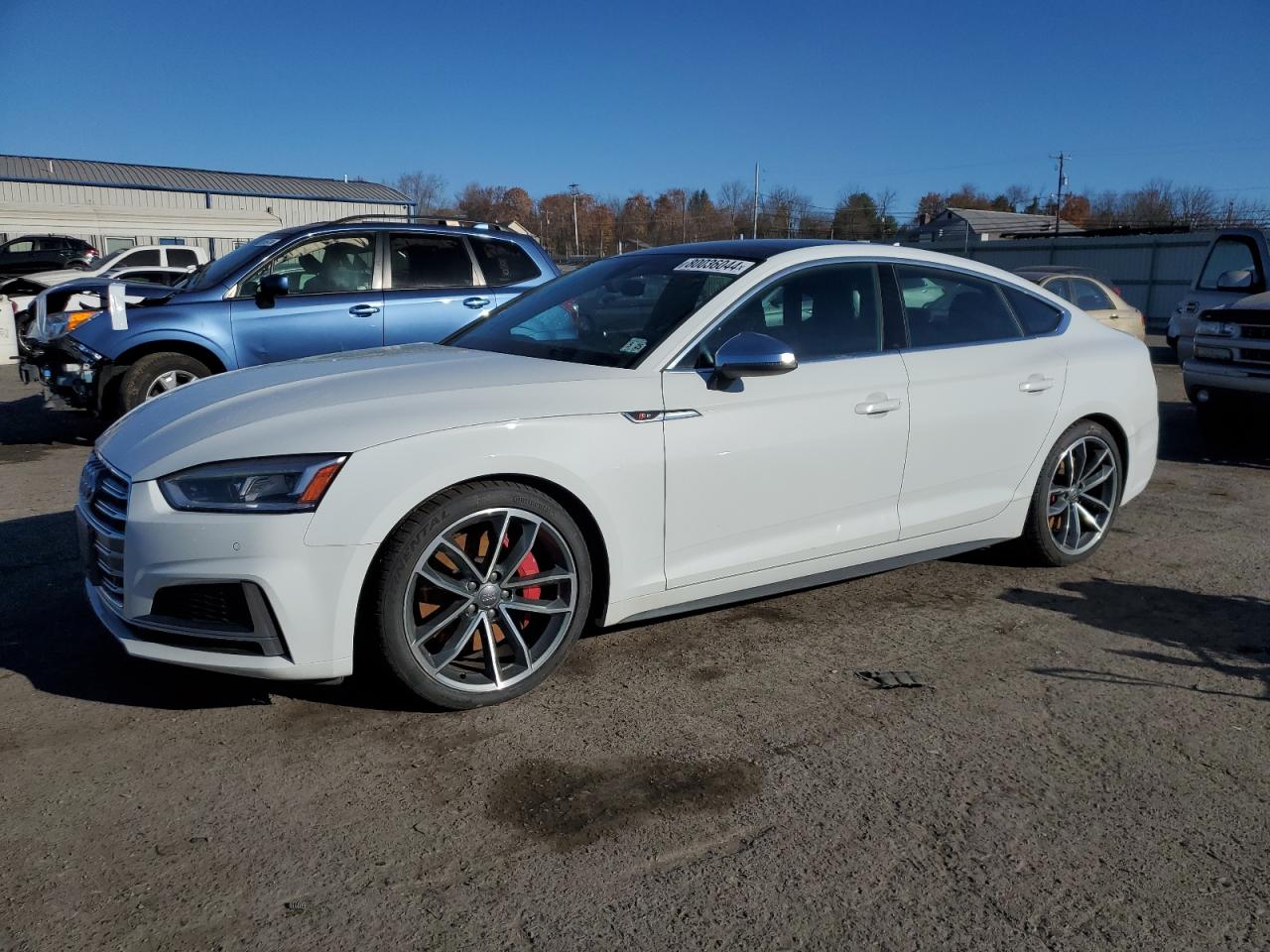 Lot #2962077150 2019 AUDI S5 PREMIUM