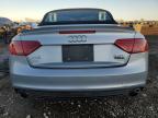 Lot #3006835518 2017 AUDI A5 SPORT