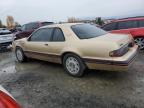 Lot #3006895516 1987 FORD THUNDERBIR