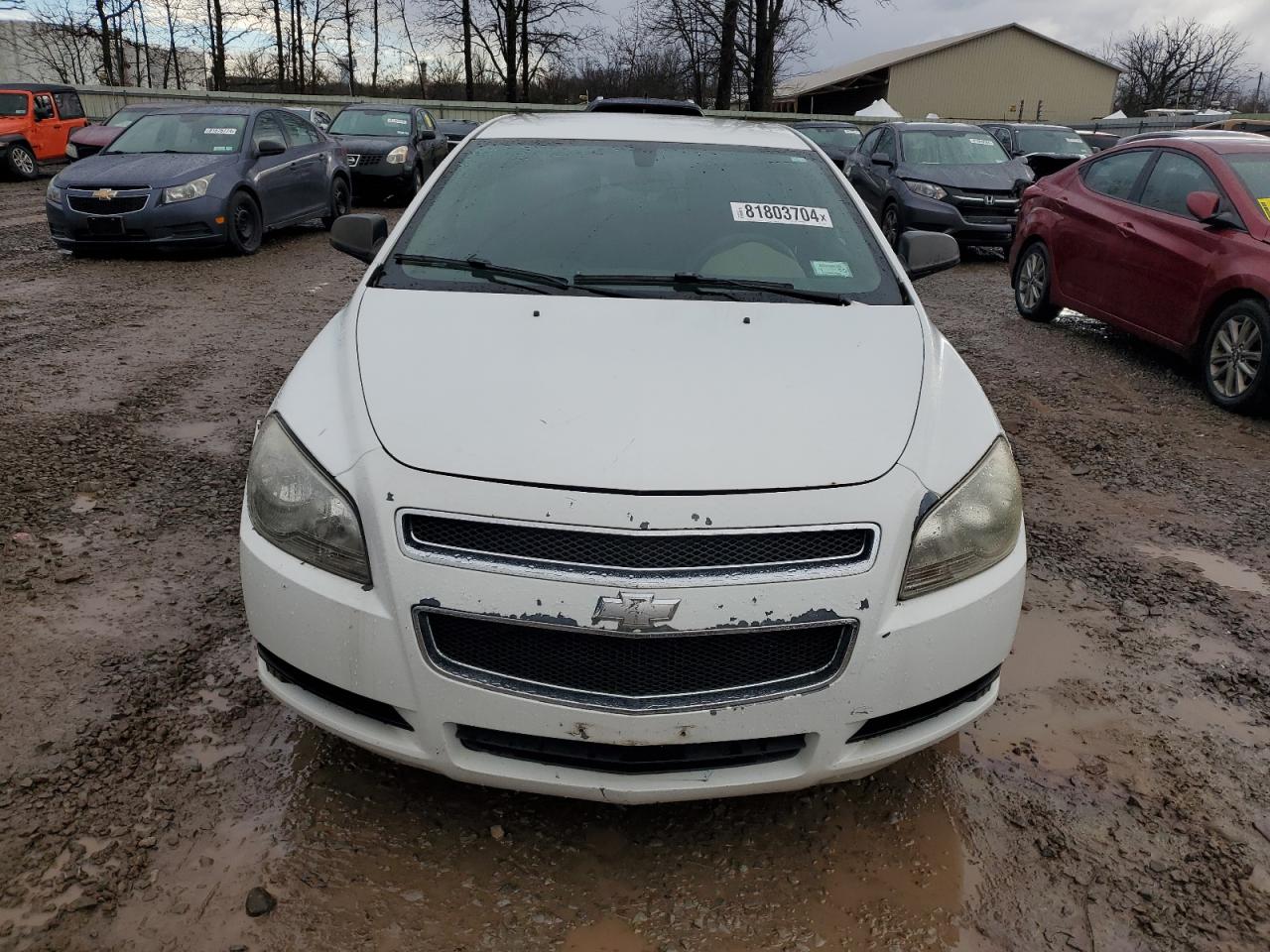 Lot #3033012034 2011 CHEVROLET MALIBU LS