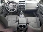 MAZDA TRIBUTE I photo