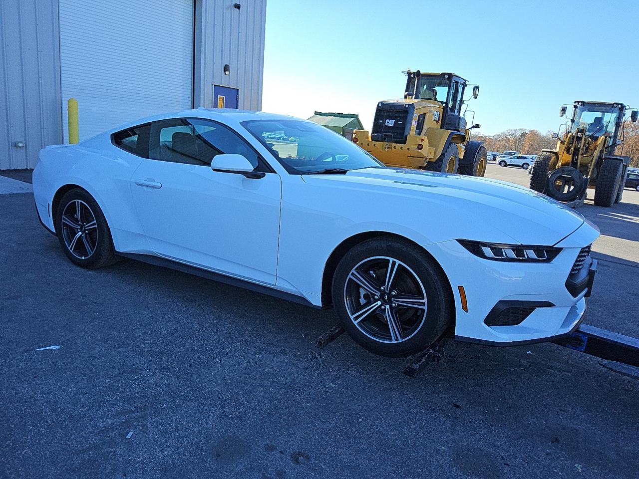 Lot #2993845657 2024 FORD MUSTANG