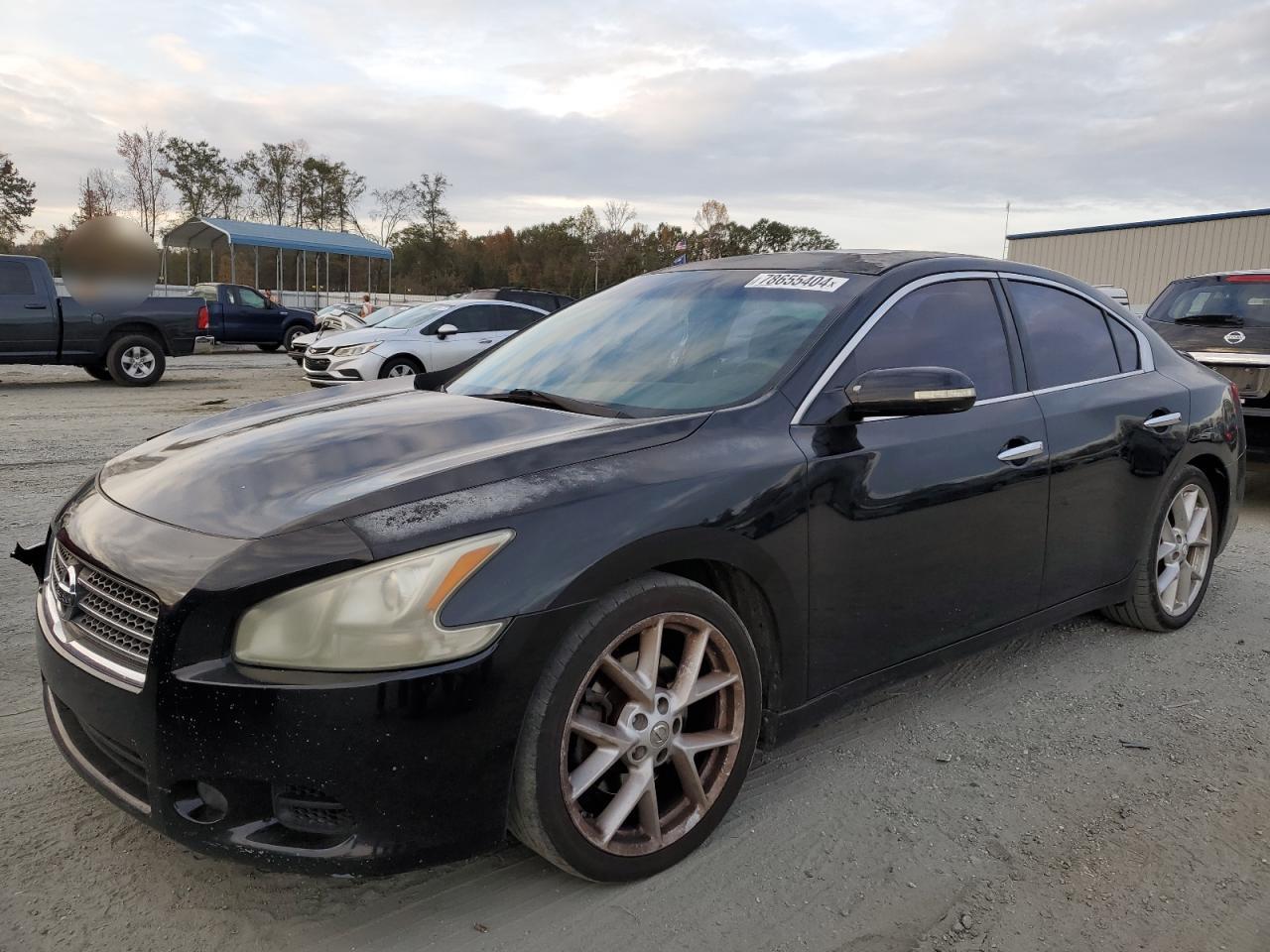 Lot #2957357465 2009 NISSAN MAXIMA S