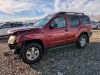 Lot #3025196603 2008 NISSAN XTERRA OFF