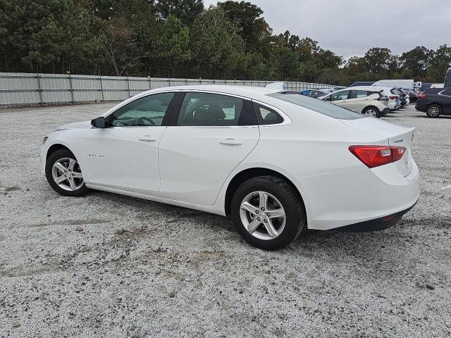 VIN 1G1ZD5ST5RF126891 2024 Chevrolet Malibu, LT no.2