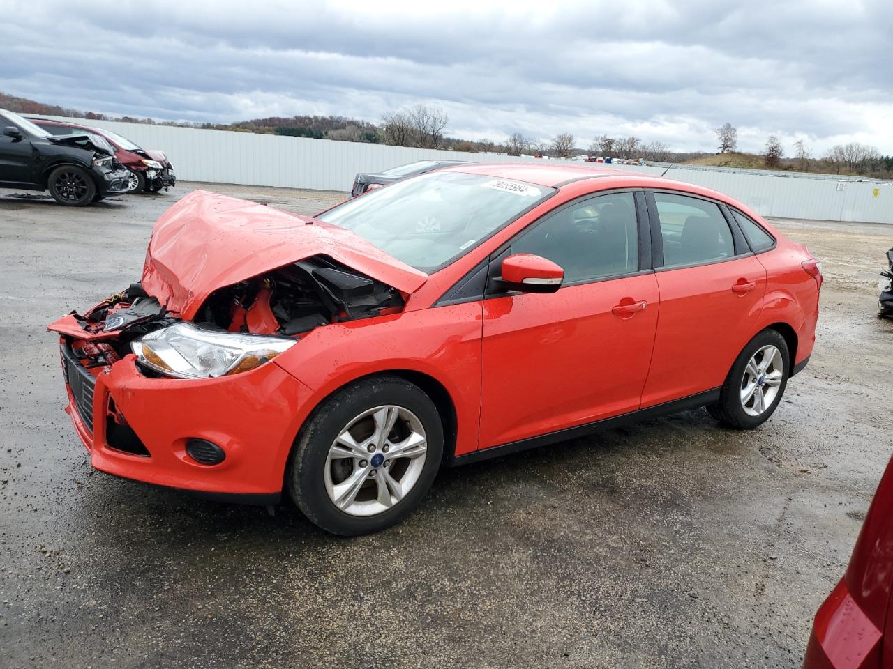 Lot #2962623727 2013 FORD FOCUS SE