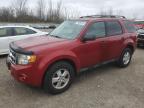 FORD ESCAPE XLT снимка