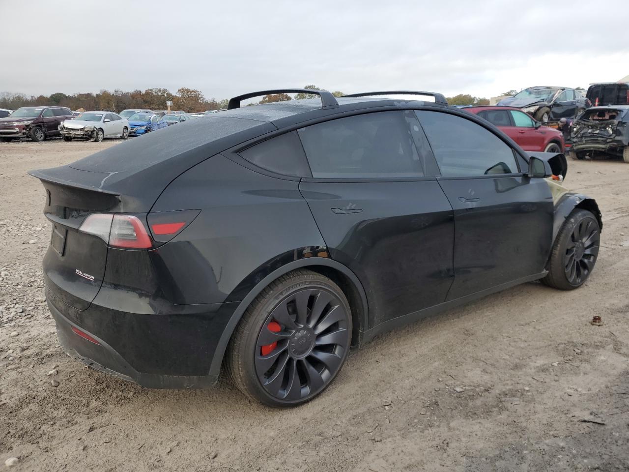 Lot #3042058186 2024 TESLA MODEL Y