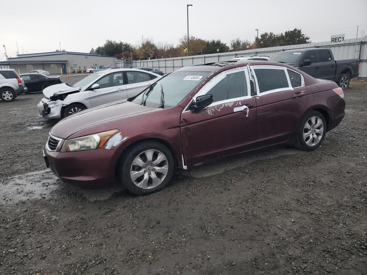 Lot #2994068266 2009 HONDA ACCORD EXL