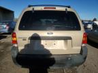 Lot #3023103898 2007 FORD ESCAPE XLT