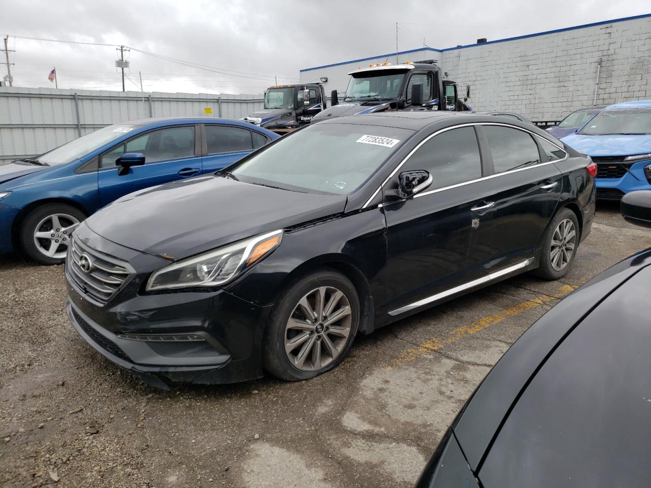 Lot #2978600205 2016 HYUNDAI SONATA SPO