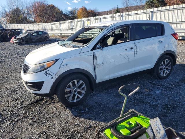 Vin: kndpbcacxg7807145, lot: 80604434, kia sportage lx 2016 img_1