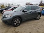 HONDA CR-V EX photo