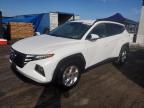 2024 HYUNDAI TUCSON SEL - 5NMJB3DE0RH380587