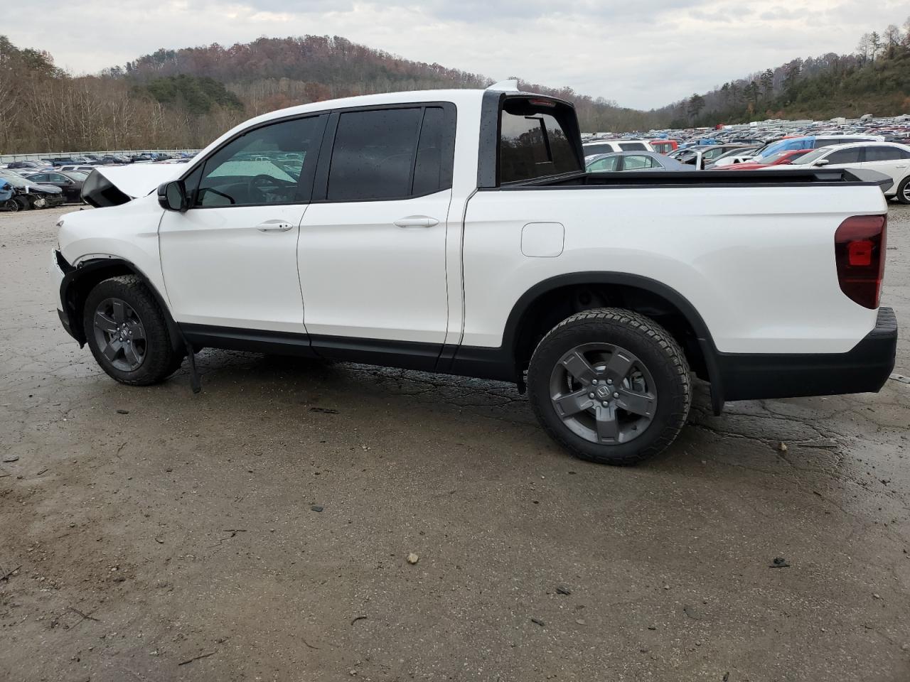 Lot #3029413700 2024 HONDA RIDGELINE