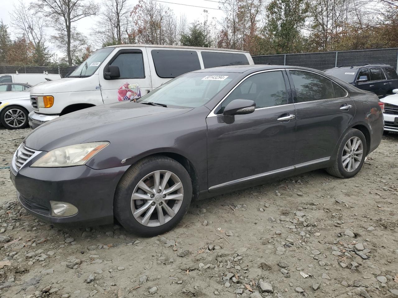 Lot #3022951358 2011 LEXUS ES 350