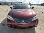 LEXUS ES 350 photo