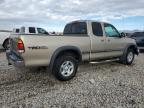 Lot #3024731222 2002 TOYOTA TUNDRA ACC