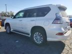 Lot #3032990035 2017 LEXUS GX 460