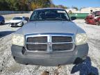 Lot #3006731552 2005 DODGE DAKOTA ST