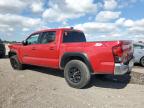 Lot #3004229975 2023 TOYOTA TACOMA DOU