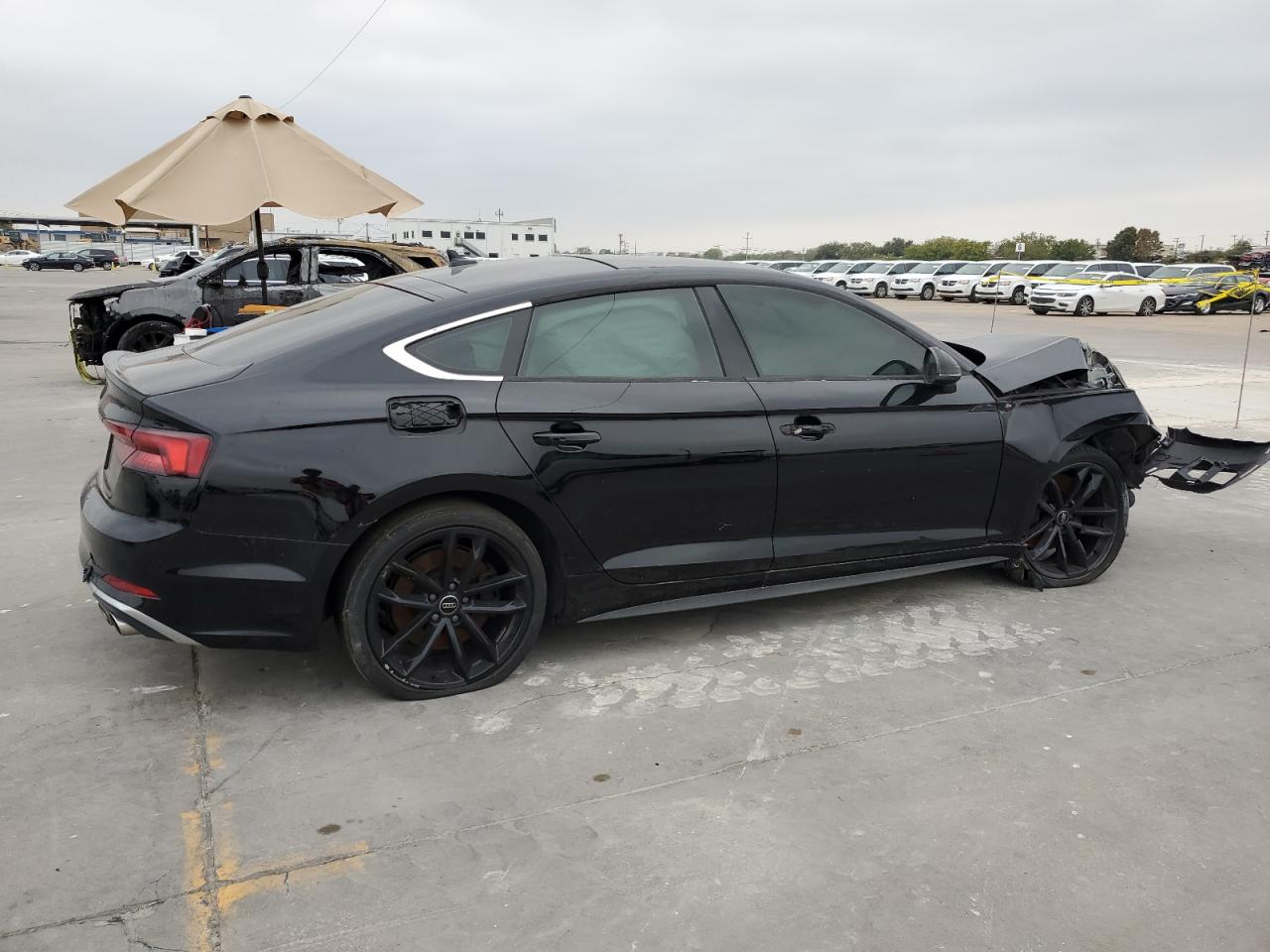 Lot #2962252979 2019 AUDI S5 PREMIUM