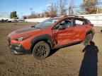 Lot #2995944392 2024 SUBARU CROSSTREK