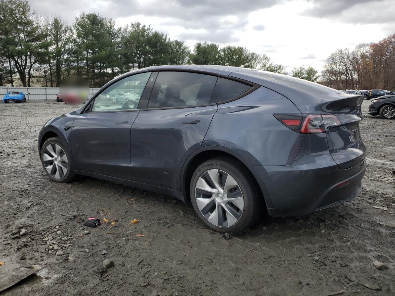 Lot #3009194236 2022 TESLA MODEL Y