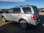 Lot #3023415257 2008 FORD ESCAPE LIM