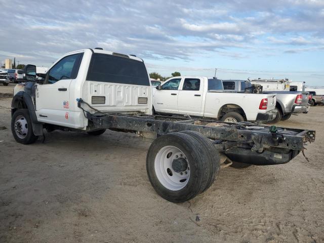 FORD F550 SUPER 2023 white  diesel 1FDUF5GT9PEC36801 photo #3