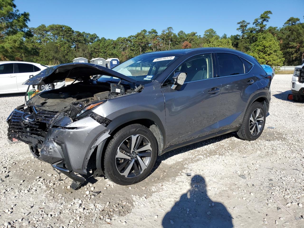 Lot #3030618109 2018 LEXUS NX 300 BAS