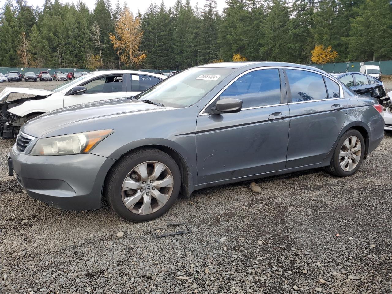 Lot #2986529303 2010 HONDA ACCORD EXL