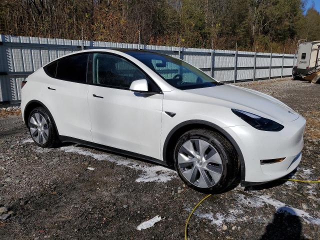 2024 TESLA MODEL Y - 7SAYGAEE7RF091388