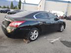 Lot #3029849256 2009 NISSAN MAXIMA S