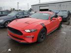 2019 FORD MUSTANG - 1FA6P8TH6K5142340