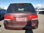 HONDA ODYSSEY EX photo