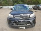 Lot #3025109228 2016 KIA SOUL