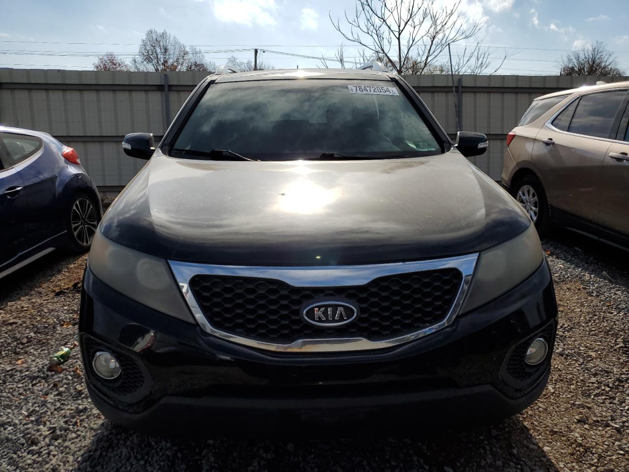 Lot #2955091824 2011 KIA SORENTO EX