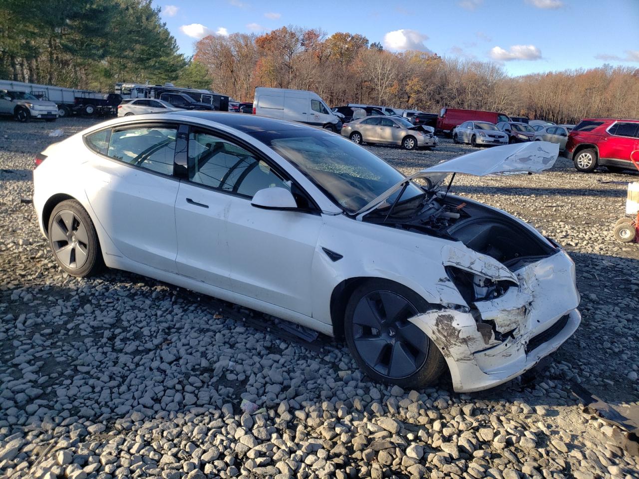 Lot #3033331819 2021 TESLA MODEL 3