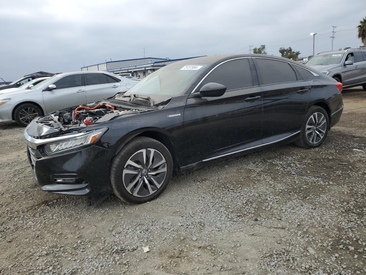 Lot #2974746107 2020 HONDA ACCORD HYB