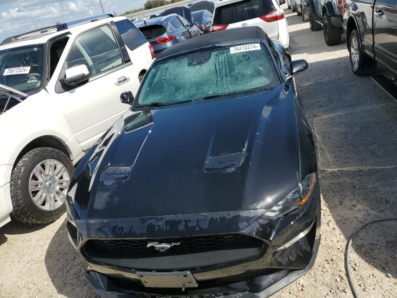 Lot #2990733977 2021 FORD MUSTANG