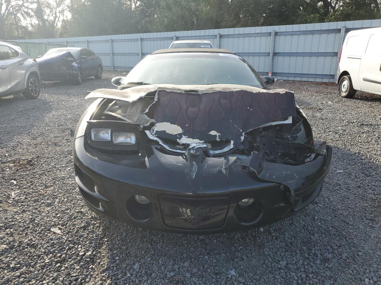 Lot #3003078690 1999 PONTIAC FIREBIRD T