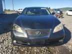 Lot #3023975218 2008 LEXUS ES 350