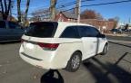 HONDA ODYSSEY EX photo